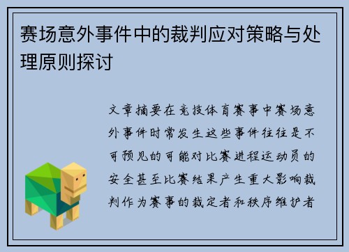 赛场意外事件中的裁判应对策略与处理原则探讨